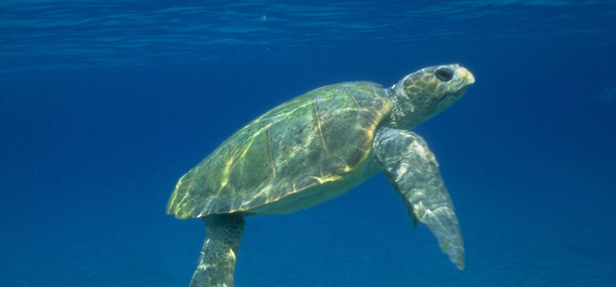 A day at the&nbsp;office